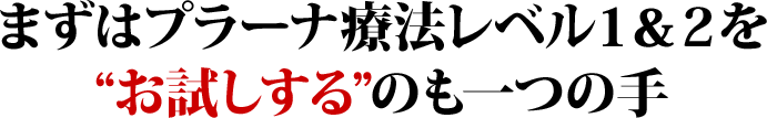 レベル1と2のお試しコース