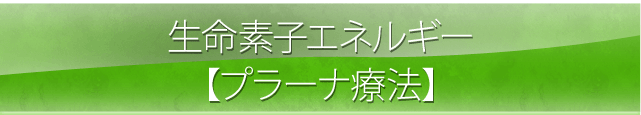 生命素子プラーナ療法