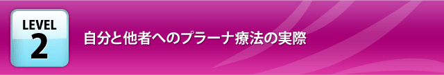 プラーナ療法の実際