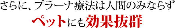 ペットにも効果抜群